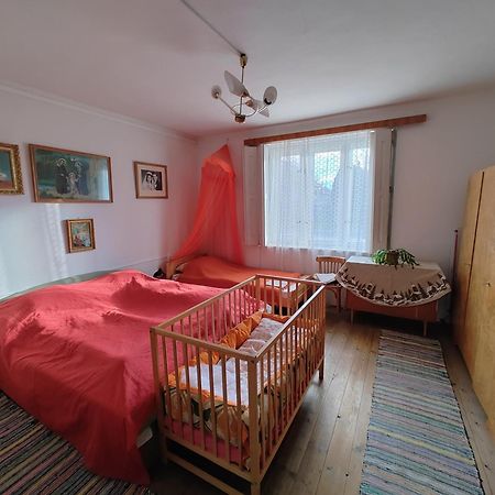 Vinyl House Guest House Strekov Ngoại thất bức ảnh